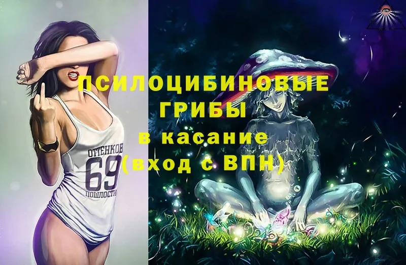 Галлюциногенные грибы Psilocybe  Саки 